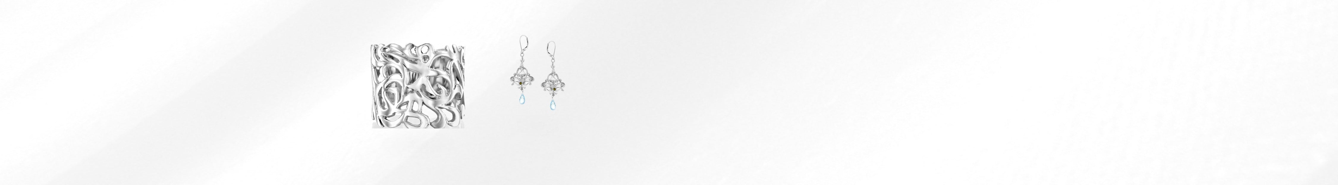 Silver collection banner desktop