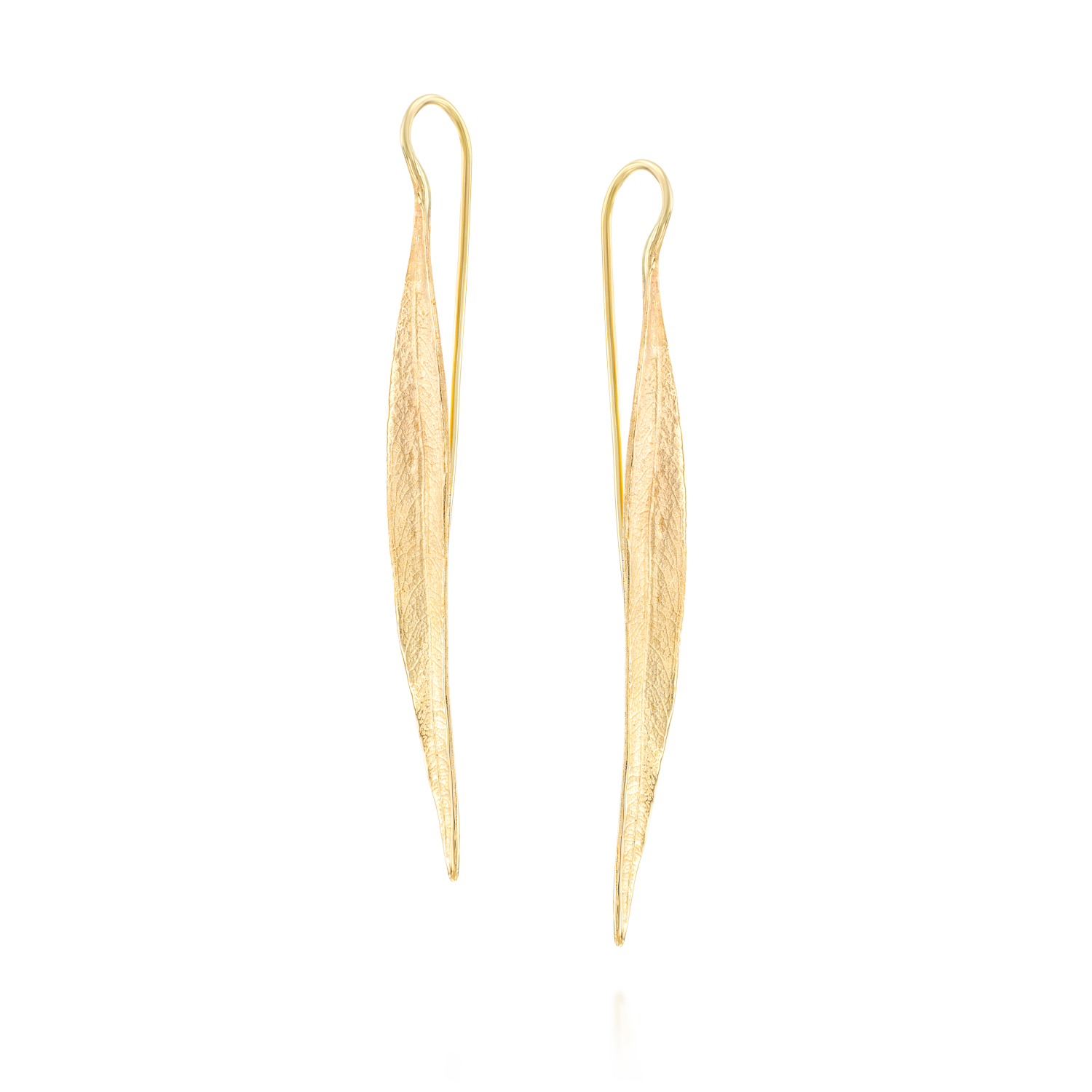 אקליפטוס