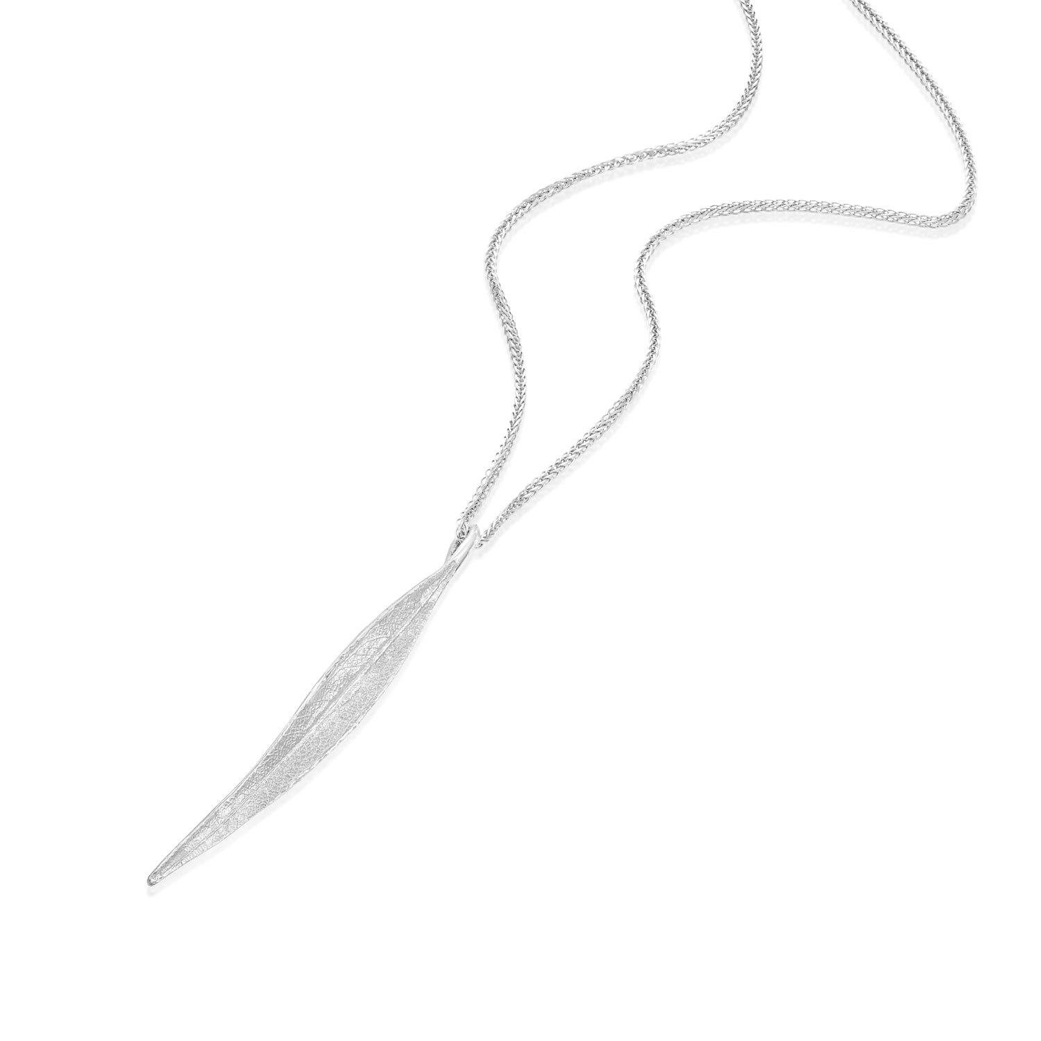 עלה אקליפטוס