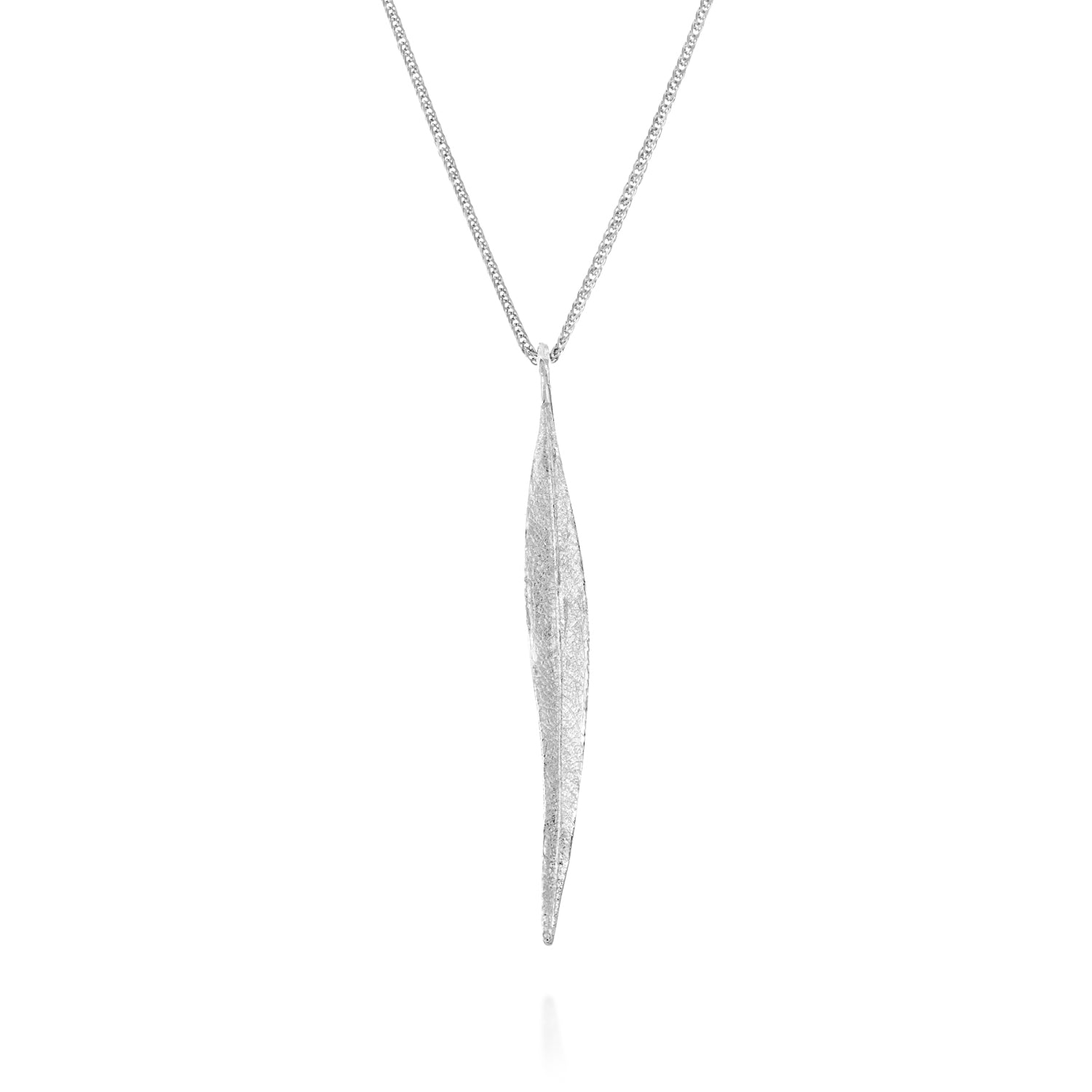 עלה אקליפטוס